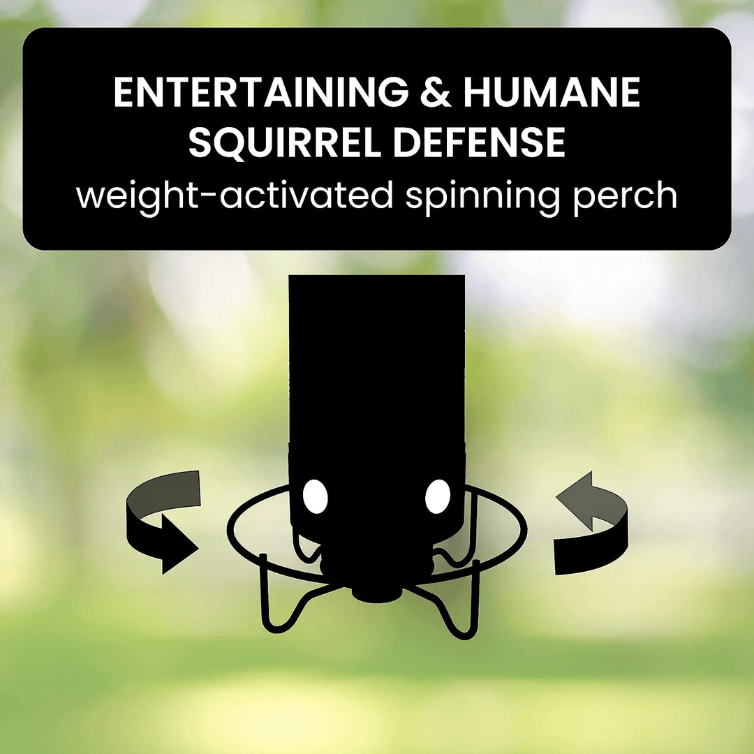 Squirrel Proof Bird Feeder with Anti - Squirrel Design - Lexians