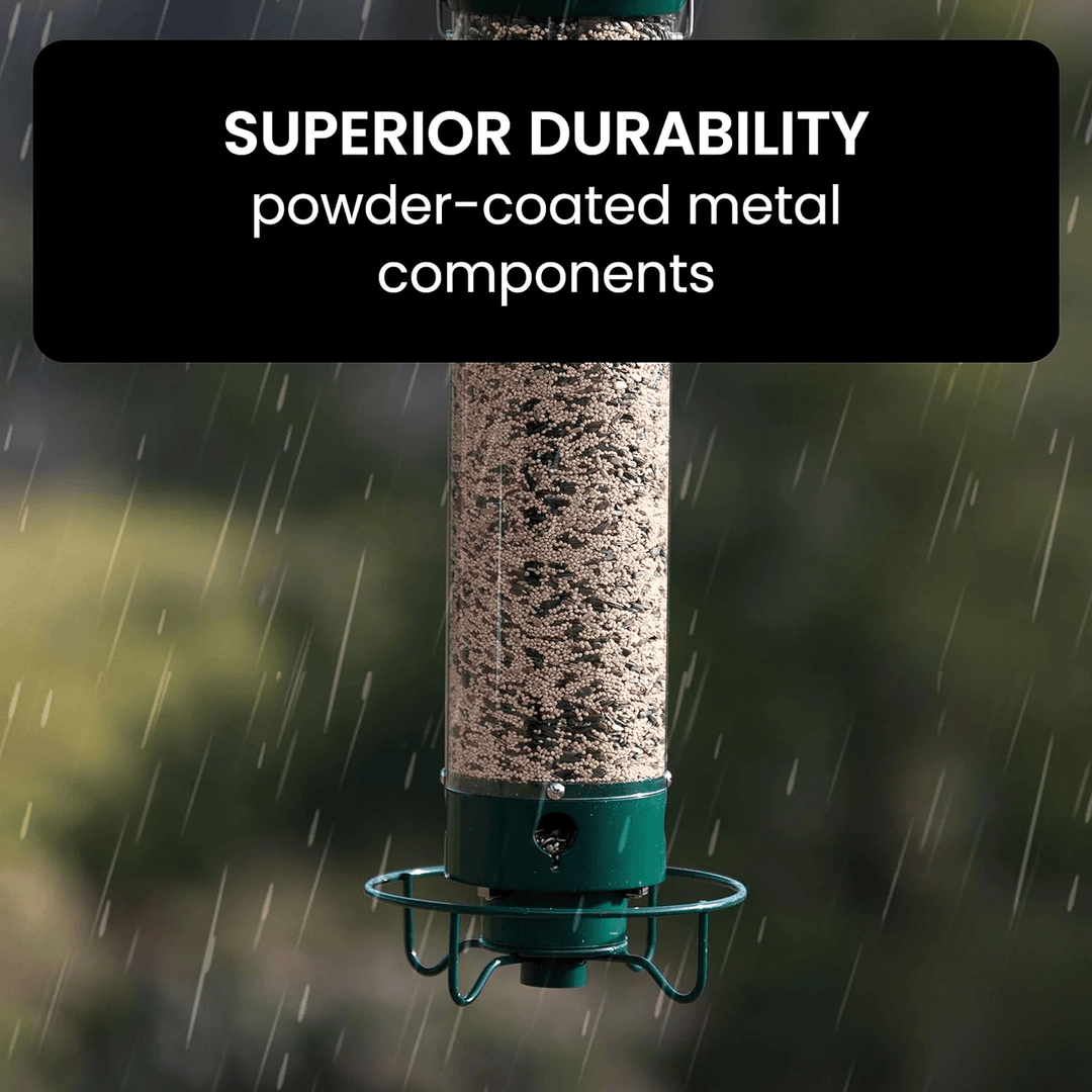 Squirrel Proof Bird Feeder with Anti - Squirrel Design - Lexians