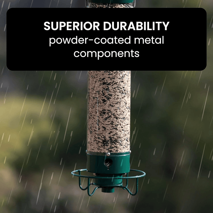 Squirrel Proof Bird Feeder with Anti - Squirrel Design - Lexians