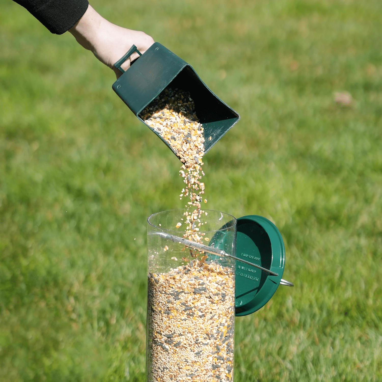 Squirrel - Proof Metal Bird Feeder with Rotating Perch - Lexians