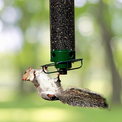 Squirrel - Proof Metal Bird Feeder with Rotating Perch - Lexians