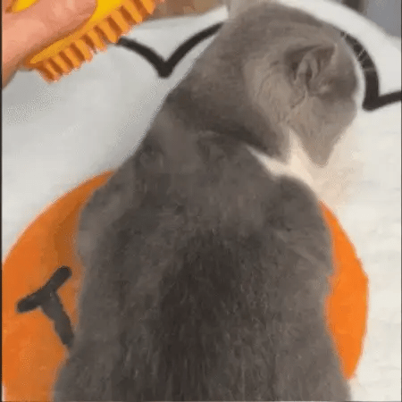 Steamy Cat Grooming Brush with Silicone Bristles - Lexians