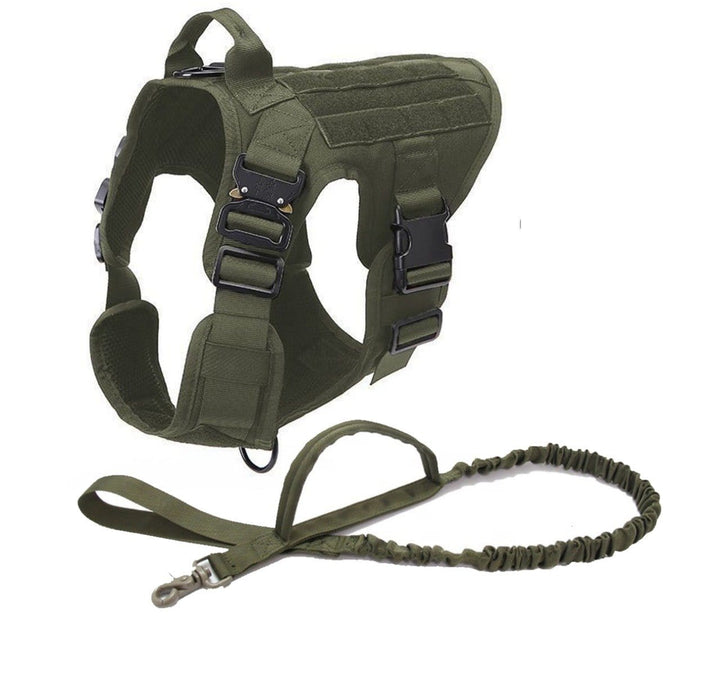 Adjustable tactical dog harness for outdoor adventures, perfect for training and active dogs.