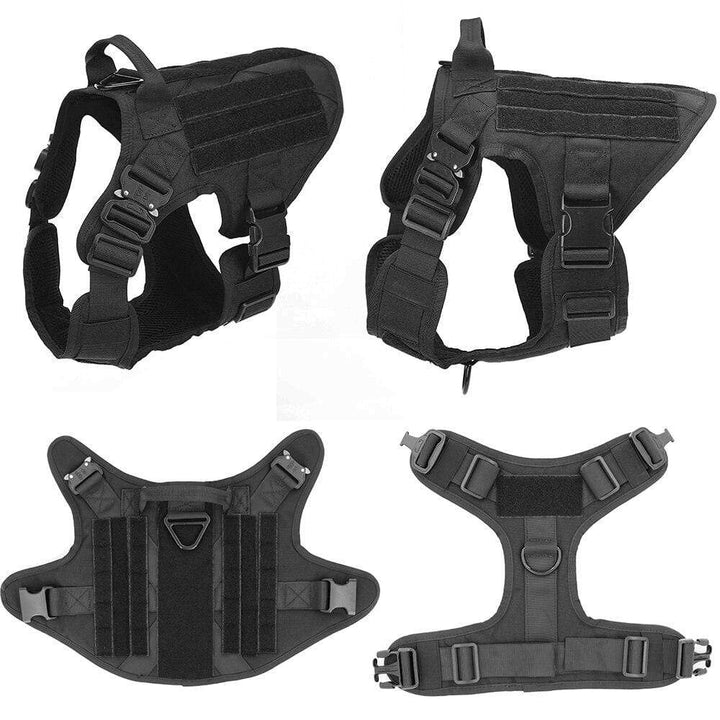 Close-up of durable tactical dog harness material, strong stitching for active pet supplies.