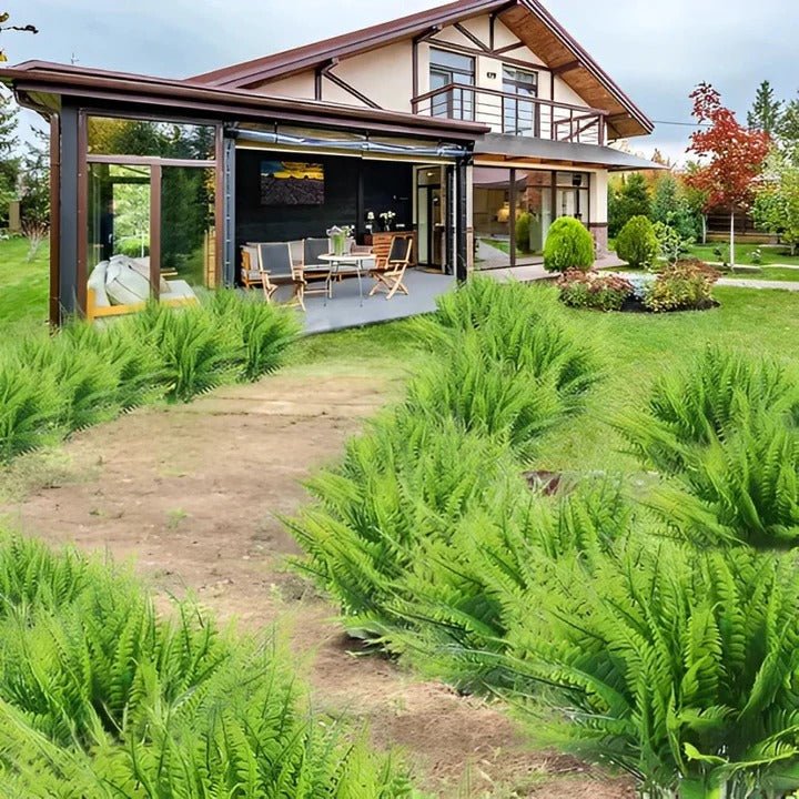 UV - Resistant Artificial Boston Fern for Outdoor Spaces - Lexians