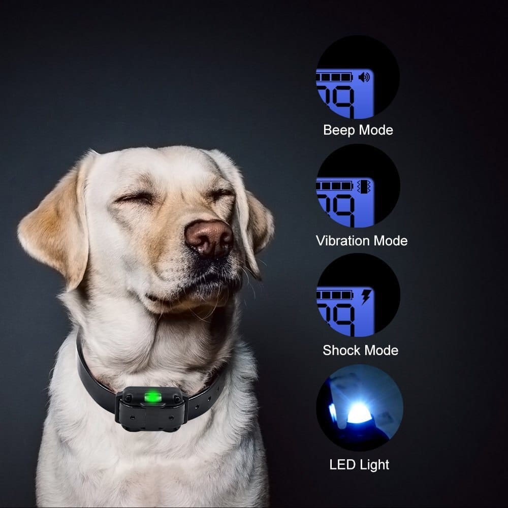 "Waterproof electric dog training collar with remote, 800m range, features multi-mode training and rechargeable LCD display."