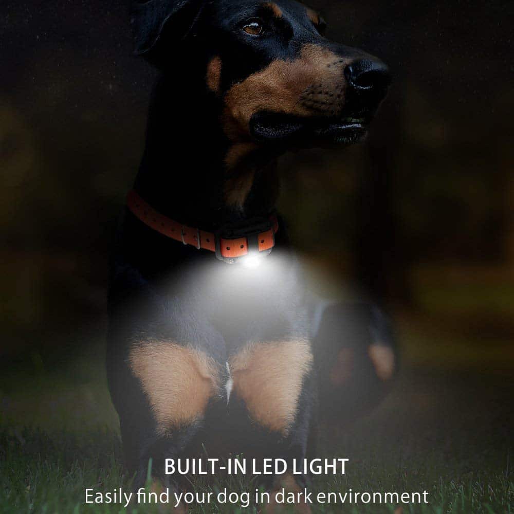 "Waterproof electric dog training collar with remote, 800m range, features multi-mode training and rechargeable LCD display."