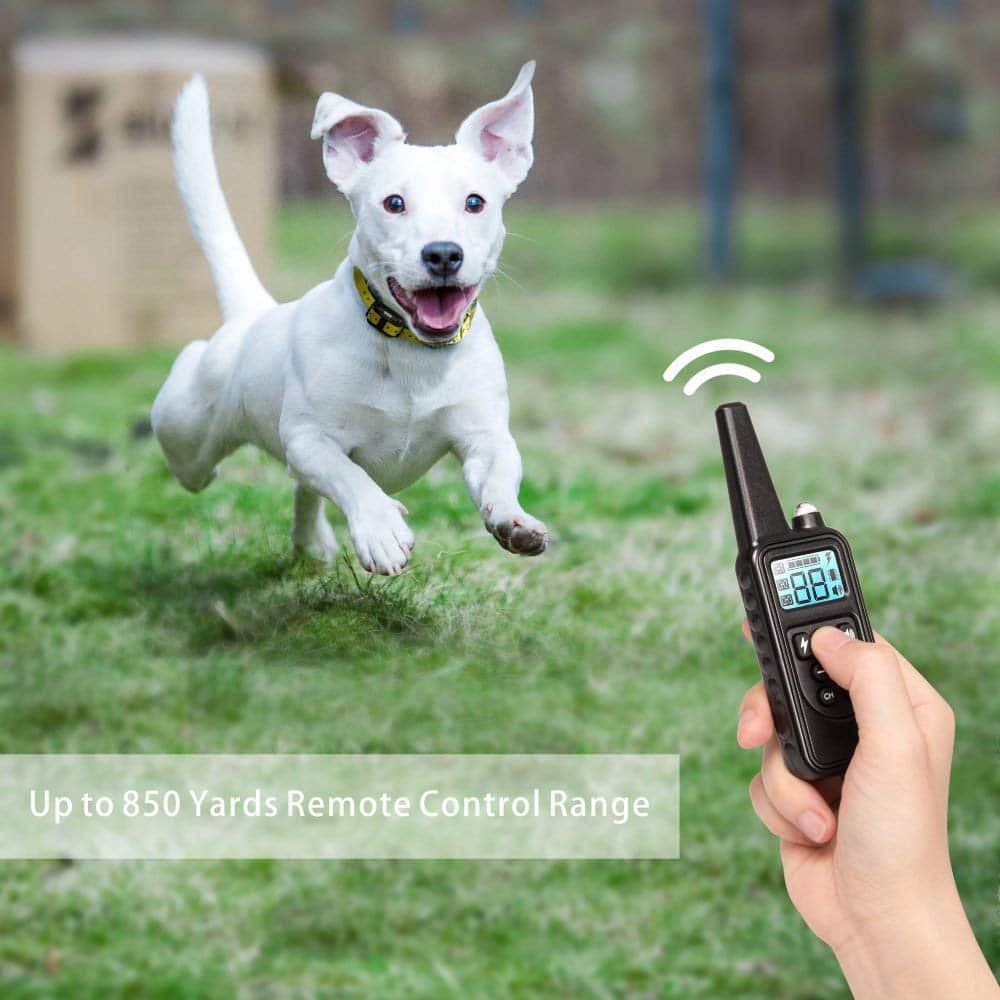 "Waterproof electric dog training collar with remote, 800m range, features multi-mode training and rechargeable LCD display."