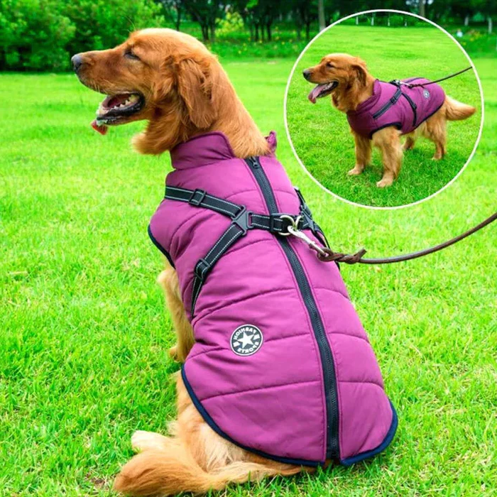 Waterproof winter dog jacket with sherpa-fleece, built-in harness. Keep your pet warm and stylish for winter walks.