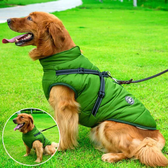 Waterproof winter dog jacket with sherpa-fleece, built-in harness. Keep your pet warm and stylish for winter walks.