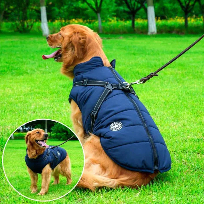 Waterproof winter dog jacket with sherpa-fleece, built-in harness. Keep your pet warm and stylish for winter walks.