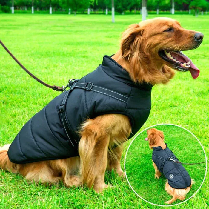 Waterproof winter dog jacket with sherpa-fleece, built-in harness. Keep your pet warm and stylish for winter walks.