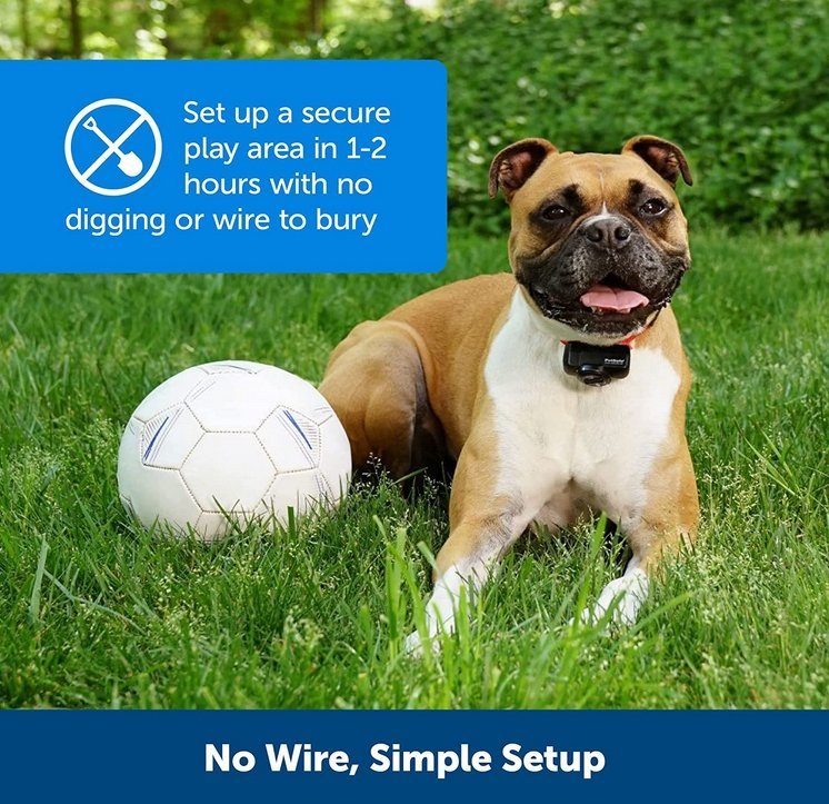 Wireless Dog Fence System for Safe Pet Freedom - Lexians