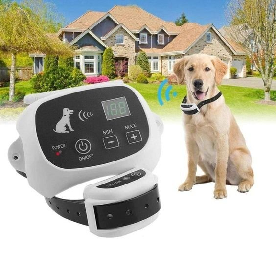 Wireless Dog Fence System for Safe Pet Freedom - Lexians