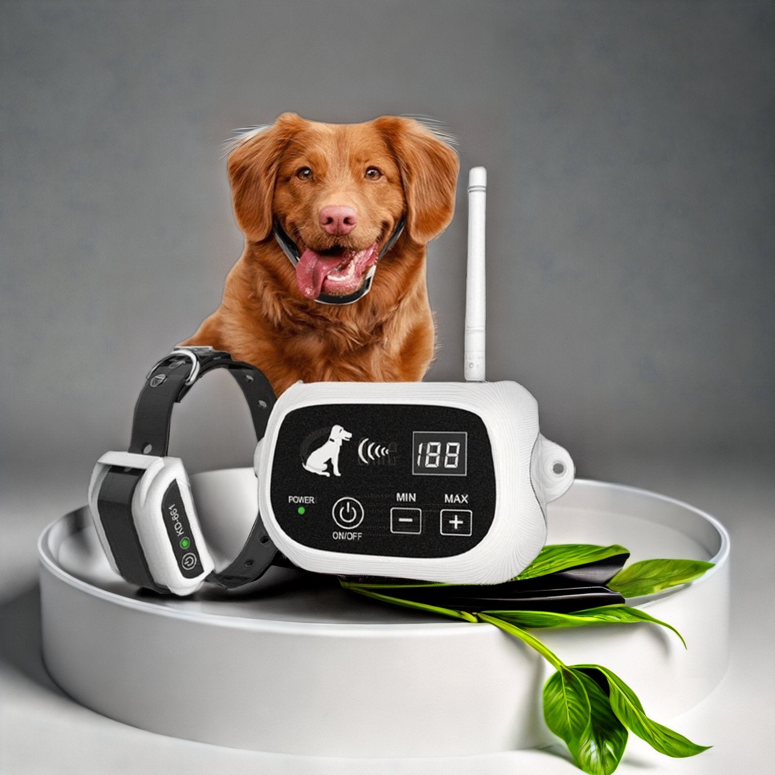 Wireless Dog Fence System for Safe Pet Freedom - Lexians