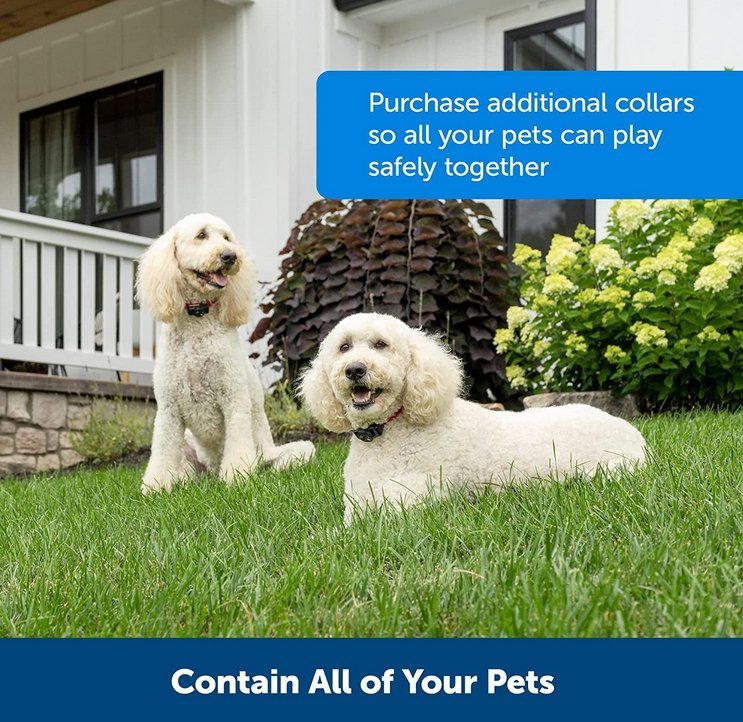 Wireless Dog Fence System for Safe Pet Freedom - Lexians