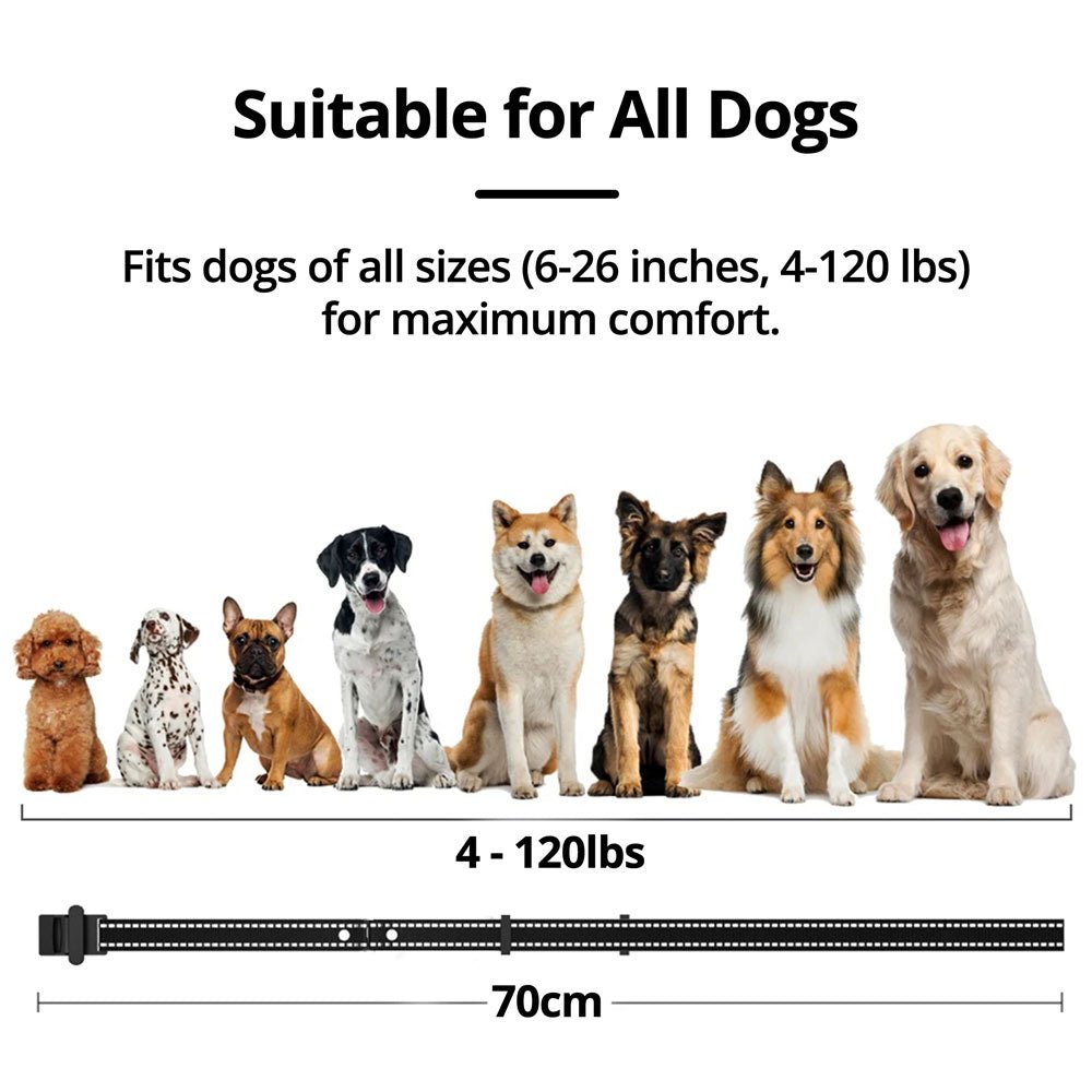 Wireless Dog Fence System with Adjustable Collar - Lexians