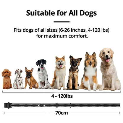 Wireless Dog Fence System with Adjustable Collar - Lexians