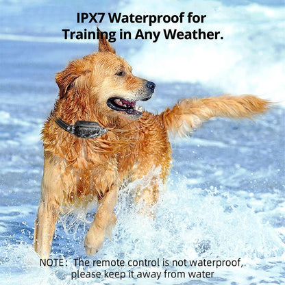 Wireless Dog Fence System with Adjustable Collar - Lexians
