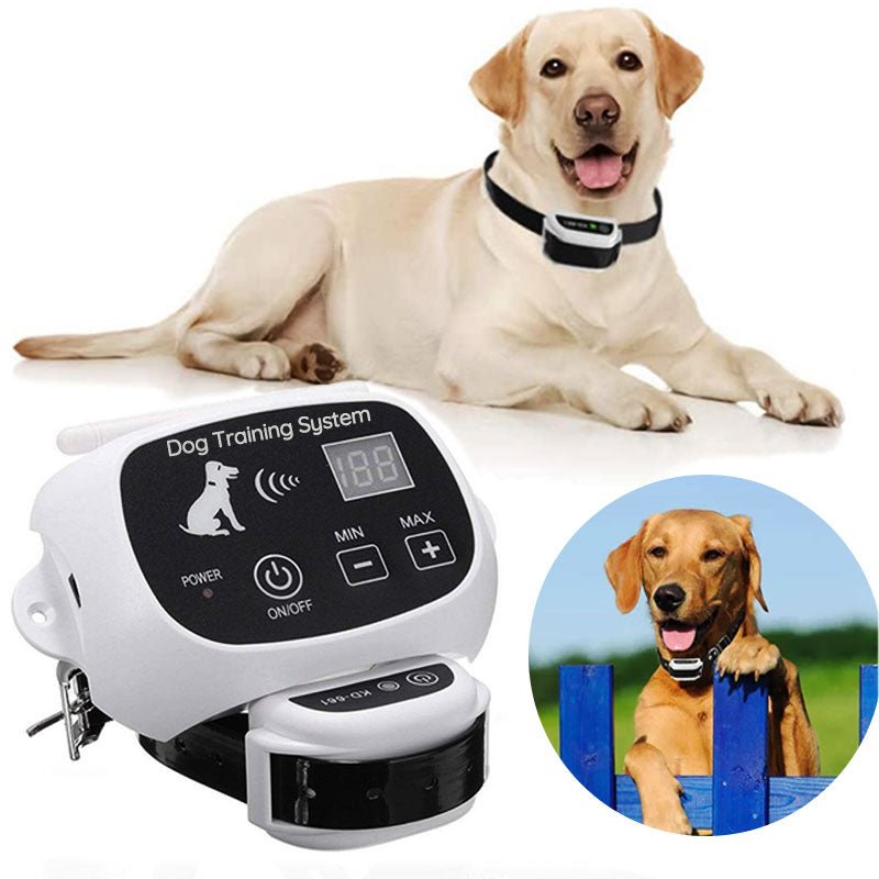 Wireless Dog Fence System with Adjustable Collar - Lexians