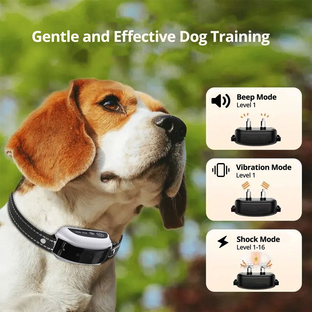 Wireless Dog Fence System with Adjustable Collar - Lexians