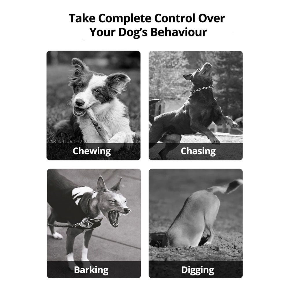 Wireless Dog Fence System with Adjustable Collar - Lexians