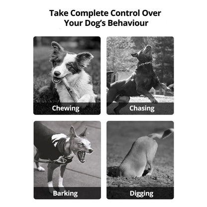 Wireless Dog Fence System with Adjustable Collar - Lexians