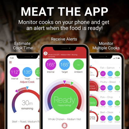 Wireless Smart Bluetooth Meat Thermometer - Gold - Lexians